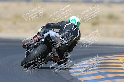 media/May-13-2023-SoCal Trackdays (Sat) [[8a473a8fd1]]/Turn 11 Backside (945am)/